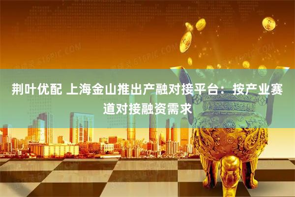 荆叶优配 上海金山推出产融对接平台：按产业赛道对接融资需求