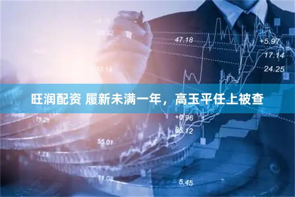 旺润配资 履新未满一年，高玉平任上被查
