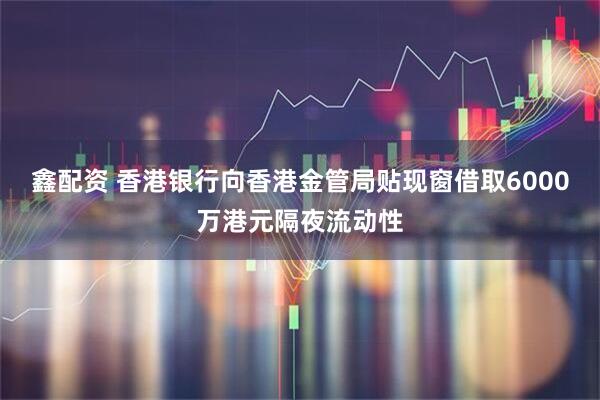 鑫配资 香港银行向香港金管局贴现窗借取6000万港元隔夜流动性