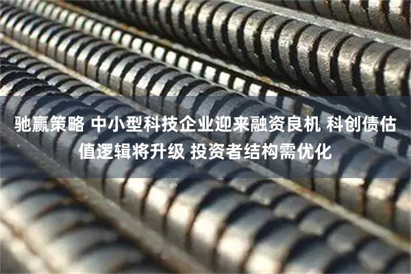 驰赢策略 中小型科技企业迎来融资良机 科创债估值逻辑将升级 投资者结构需优化