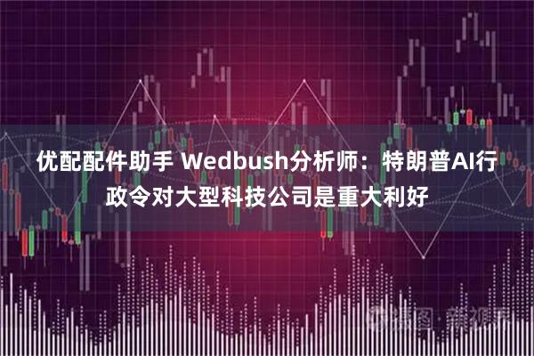 优配配件助手 Wedbush分析师：特朗普AI行政令对大型科技公司是重大利好
