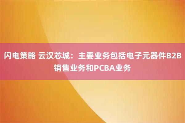 闪电策略 云汉芯城：主要业务包括电子元器件B2B销售业务和PCBA业务