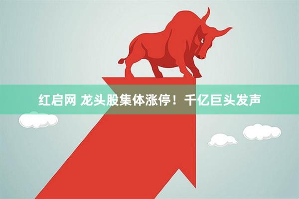 红启网 龙头股集体涨停！千亿巨头发声